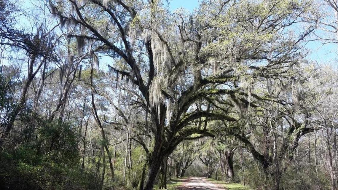 Have we forgotten about Pearlington?