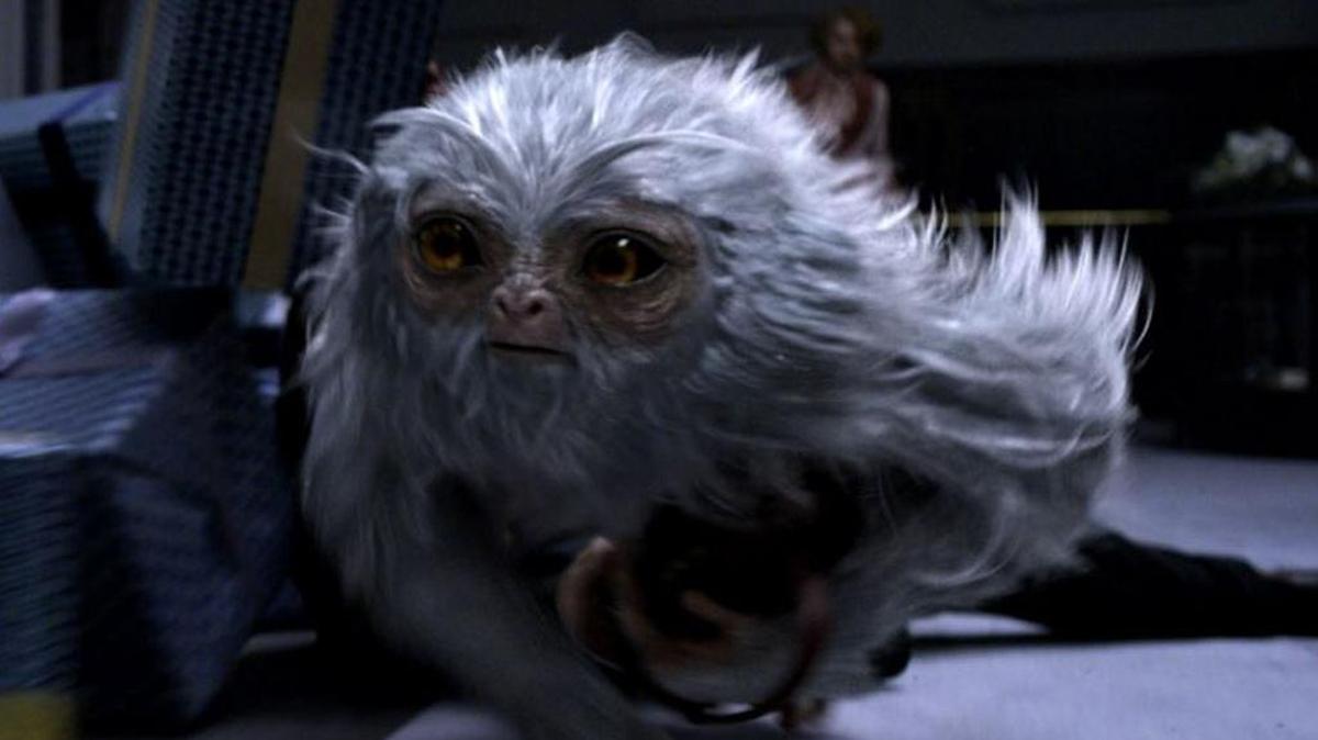 “Fantastic Beasts and Where to Find Them” opens at 6 p.m. on Thursday in several theaters in South Mississippi.