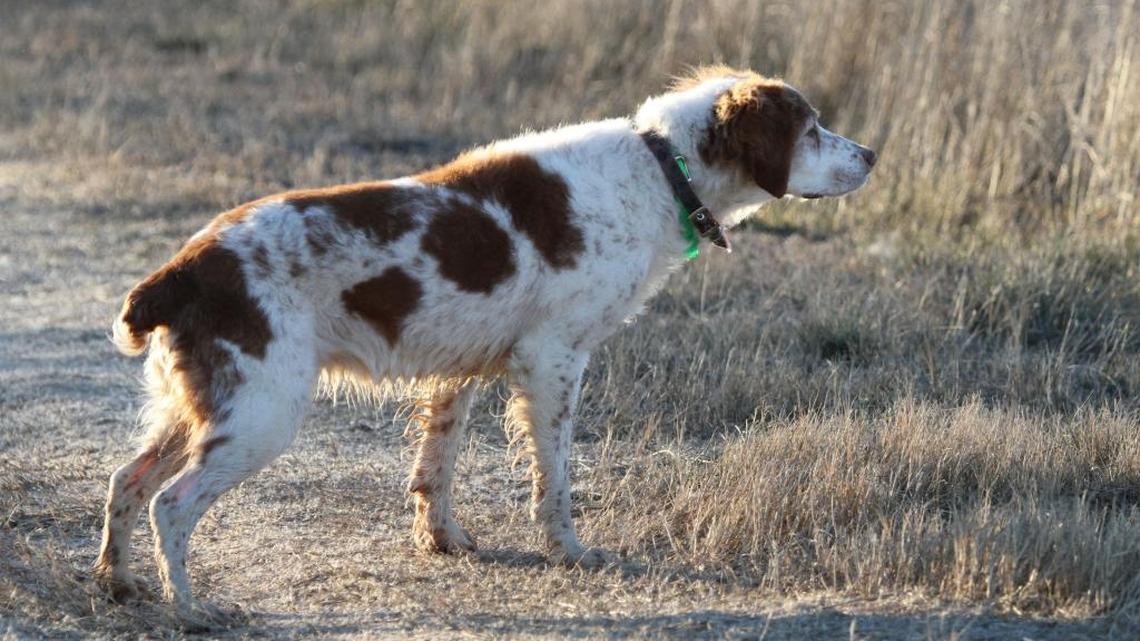 Things to do this week in South Mississippi: Oct. 9-15