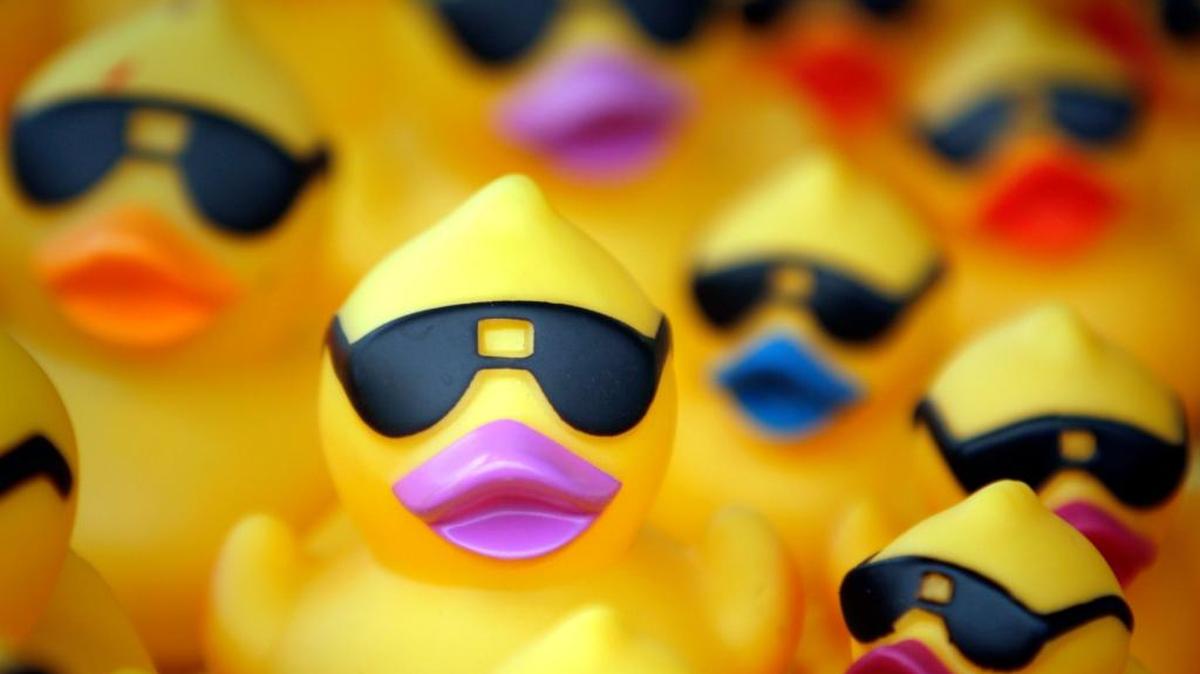 The ducks are coming! The annual Duck Derby benefiting Tired Dog Rescue will be held Saturday at Margaritaville Resort Biloxi. At least 5,000 Derby Ducks will be racing to cross the finish line.