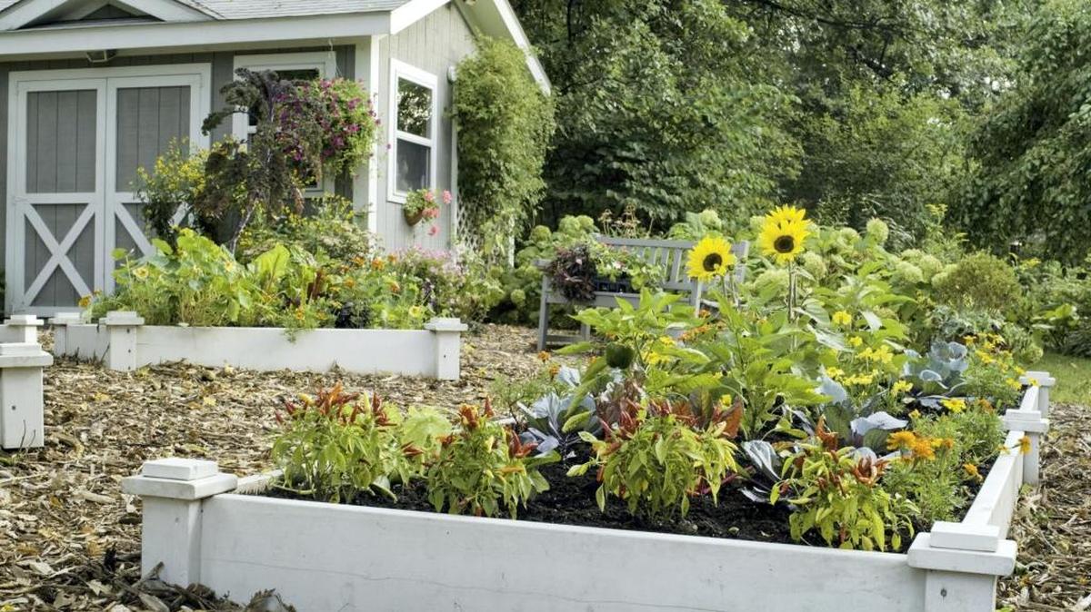Have you wanted to try raised bed gardening? Master Gardener Charles Courtney will speak on raised beds at the Pascagoula River Audubon Center in Moss Point on Oct. 26.