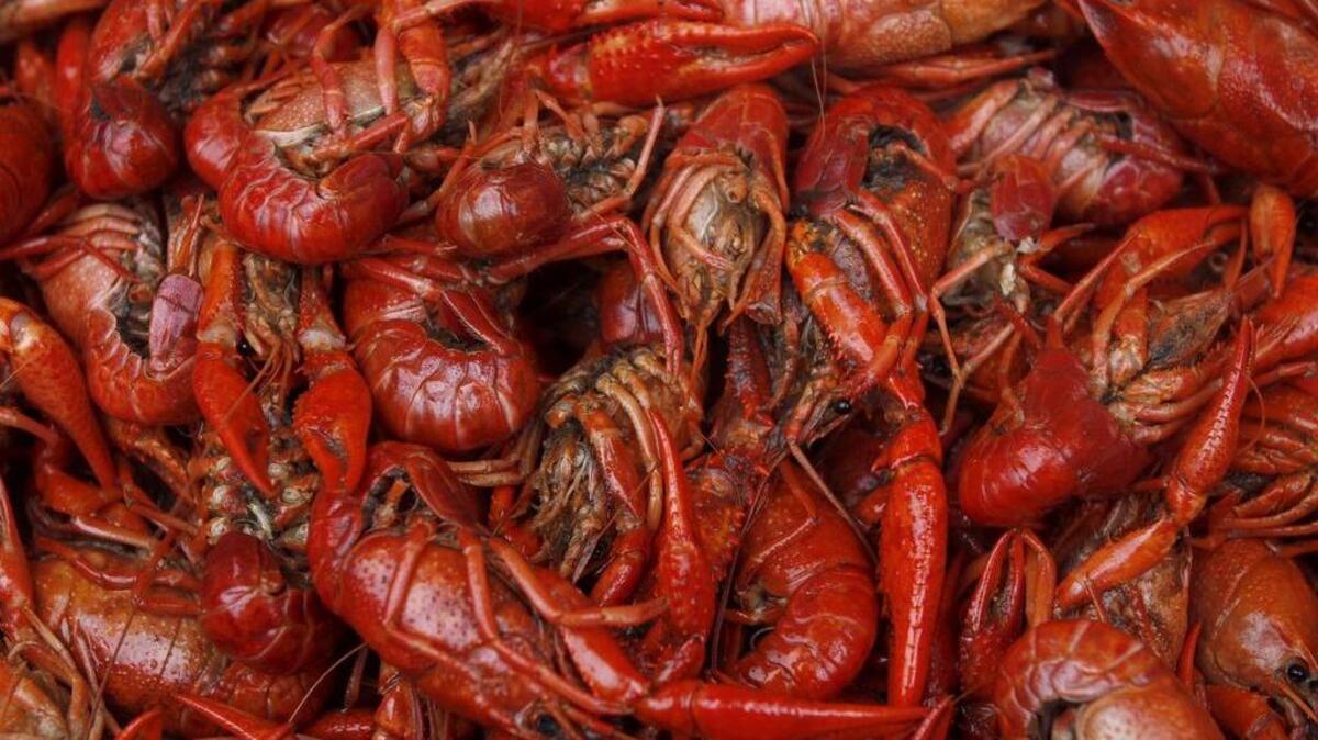It’s the perfect time of year to consider crawfish recipes | Biloxi Sun ...