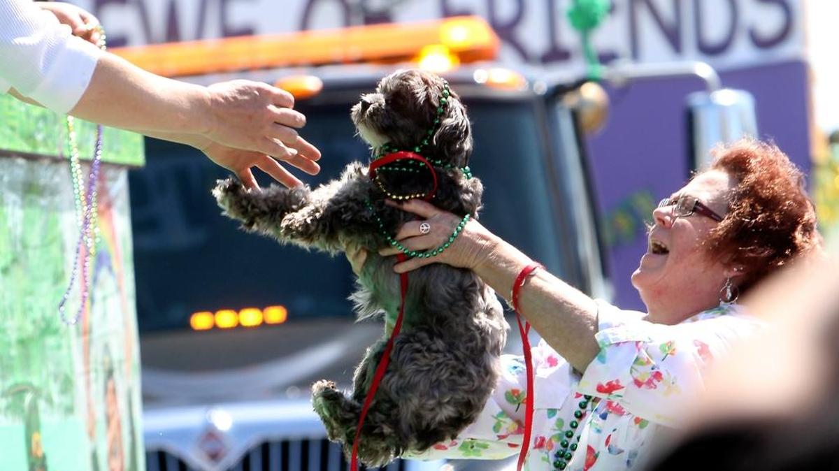 Denise Hudson holds out her dog, Zinnia, for some bead action during the 25th annual Shenanigans Parade in 2010 in downtown Gulfport. Biloxi will host its own Mardi Gras dog parade in 2017.