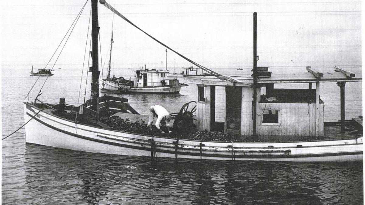 This oyster lugger is part of the seafood heritage on the Coast.