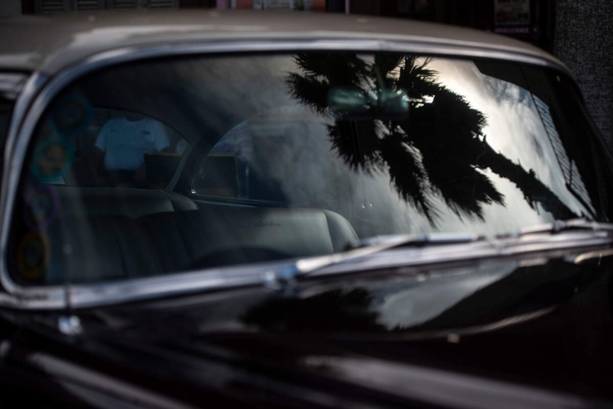 A palm tree reflects in the windshield of a classic car during View the Cruise on Sunday, Oct. 3, 2021.