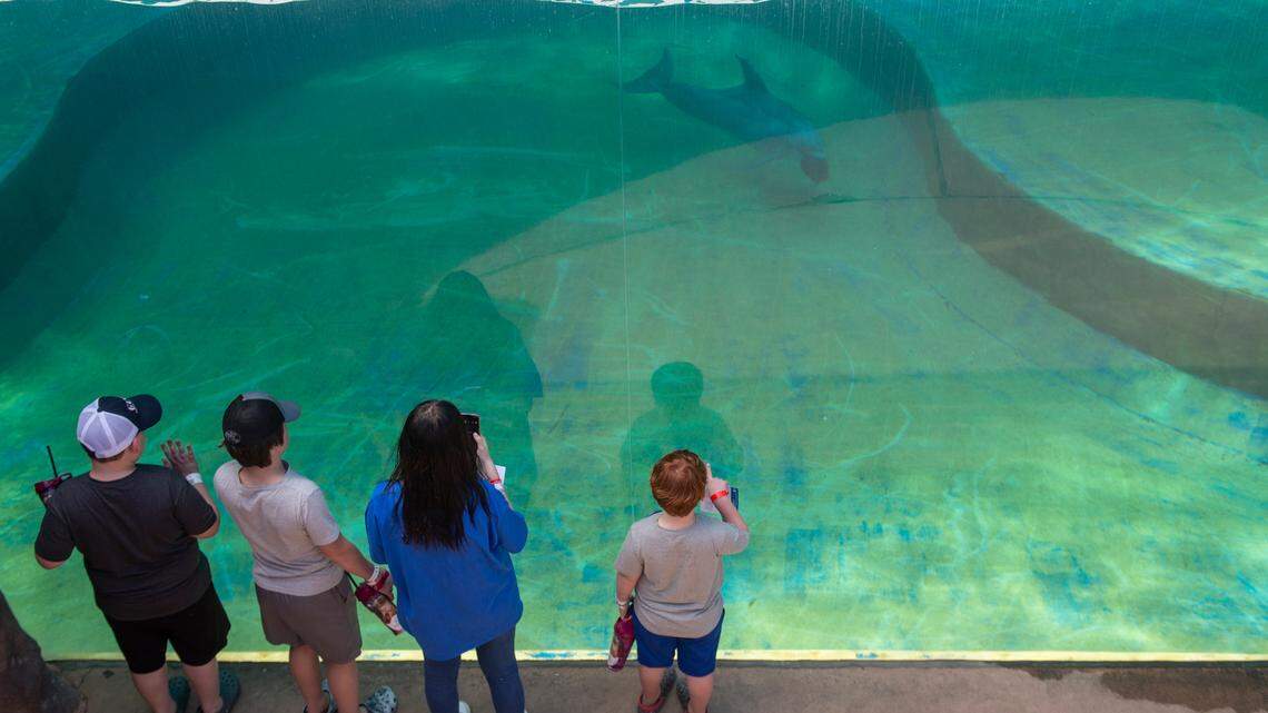 MS Aquarium has hired interim director. Here’s more about the experienced pick