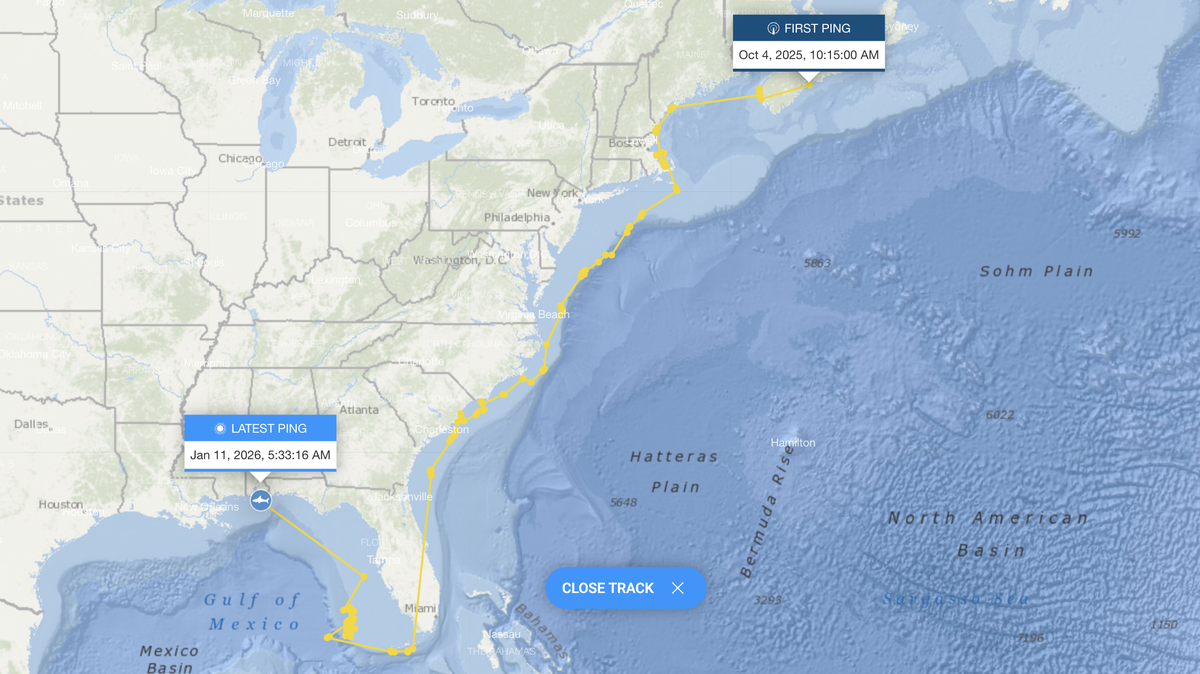 A screenshot from OCEARCH’s website shows Ernst’s travels around the country’s coastline since October.