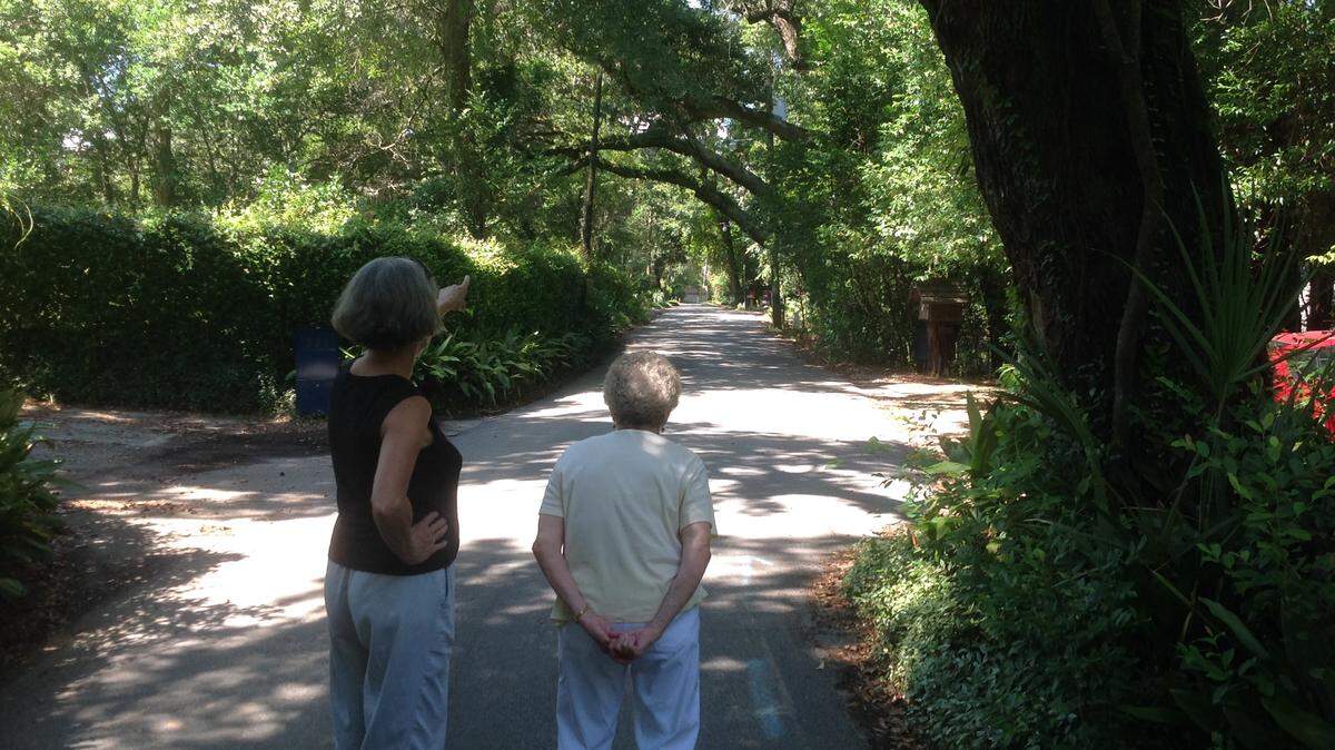 KAREN NELSON/SUN HERALD 
 Judy Herrington, left, and JoAnne Calhoun survey Lover's Lane as they discuss the fate of trees that are considered to be blocking emergency access to the area. The trees, including the leaning tree at right, hang over the narrow city street.