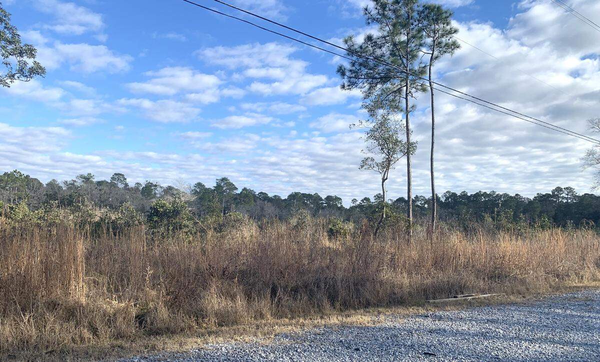 The lot where Lemoyne Landing will be built in Jackson County is more than 60 acres of open land, which is about the same size at The Promenade in D’Iberville.