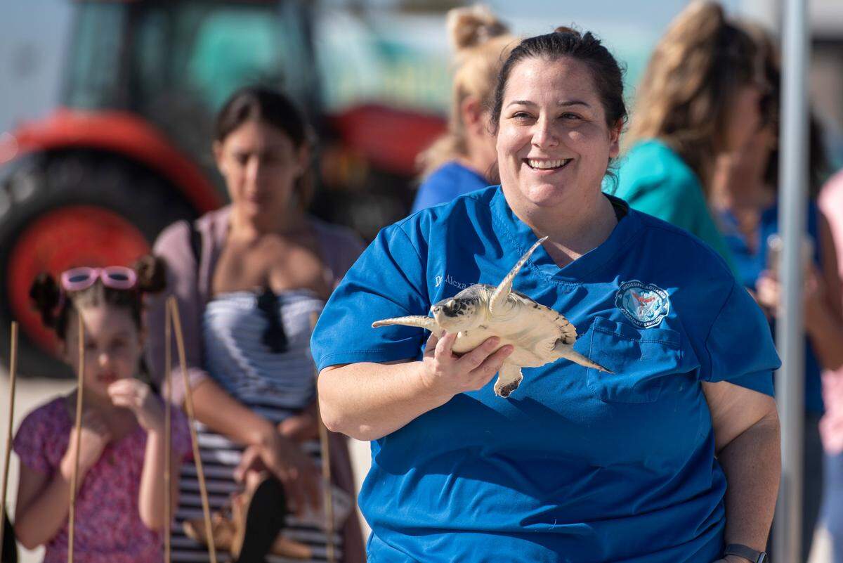 Dr. Alexa Delaune, Vice President of Veterinary Services and Research for the Mississippi Aquarium, helps to release a Kemp’s ridley sea turtle back into the wild on Wednesday, March 12, 2025. The Mississippi Aquarium rehabilitates cold-stunned sea turtles and releases them into the Gulf.
