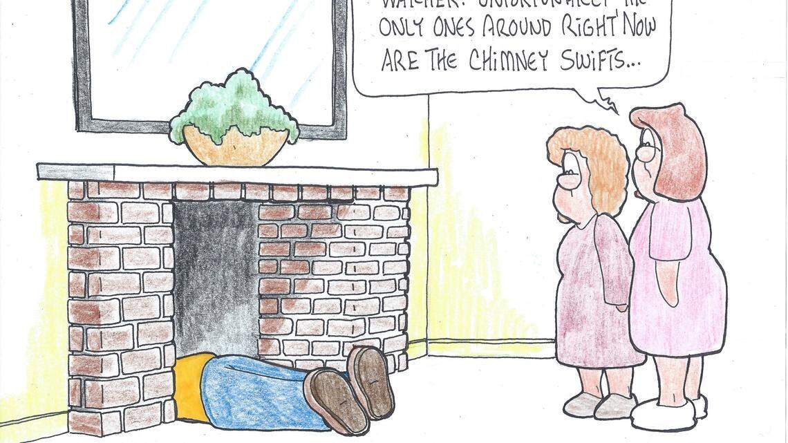 Tim Lockley: Issues with chimney swifts? Kick them out before eggs in nest 