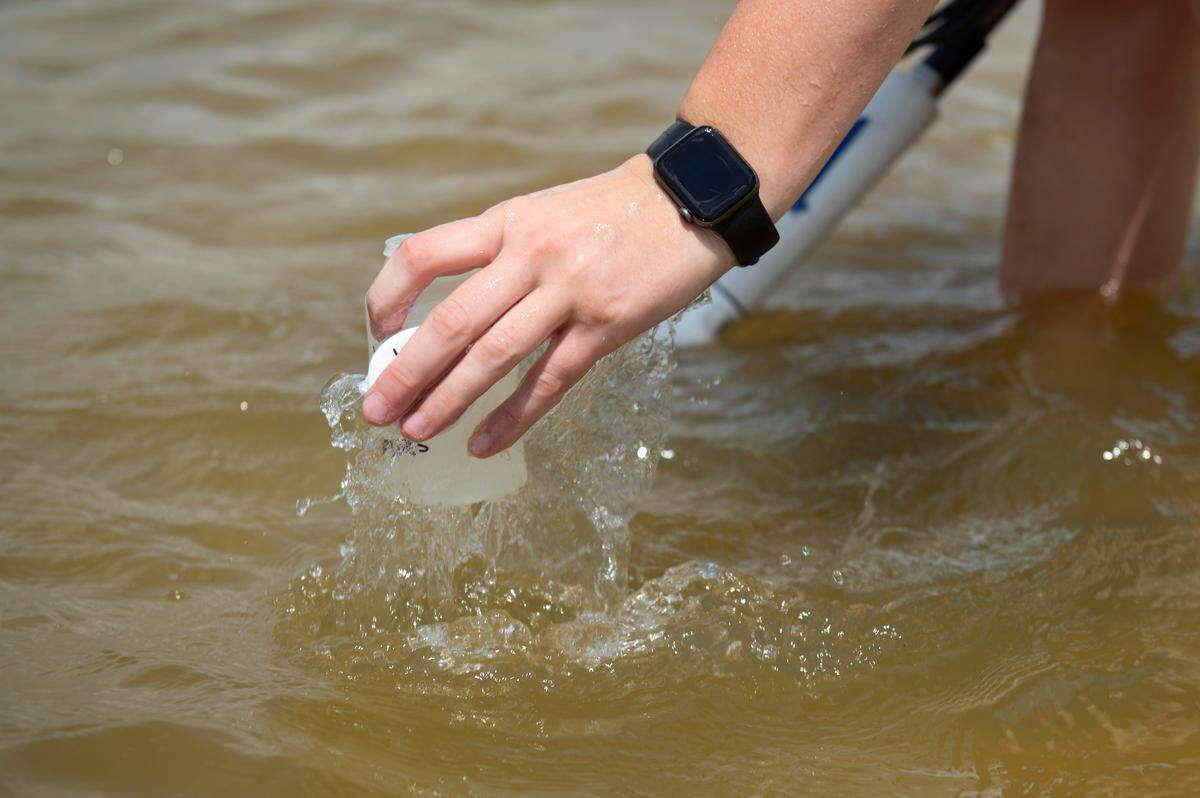 Jennifer Ahlbrand, an environmental natural resource specialist with the Mississippi Department of Environmental Quality, collects a water sample from a collection site on Wednesday, April 30, 2025. The Mississippi Department of Environmental Quality tests the same sites weekly and issues advisories for the bacteria enterococcus, which can cause infections.