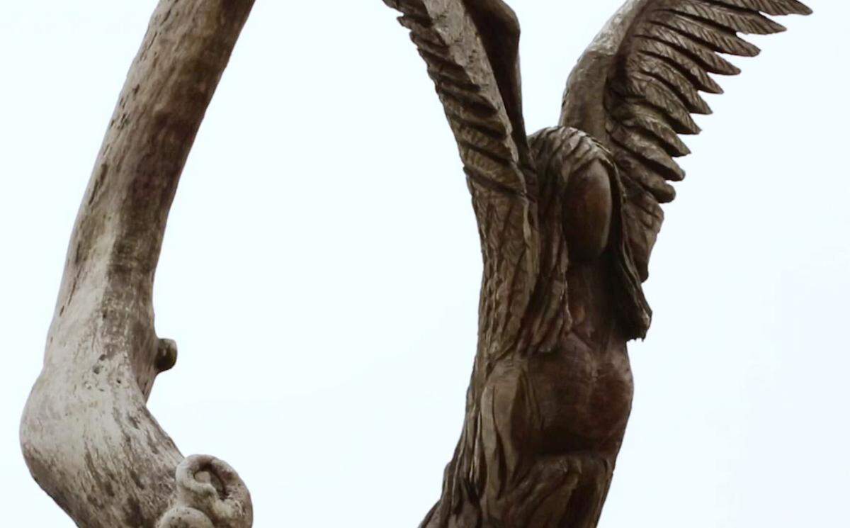 The tree that Nikki Moon and others clung to to survive Hurricane Katrina was carved into a pair of angels and now overlooks the Bay.