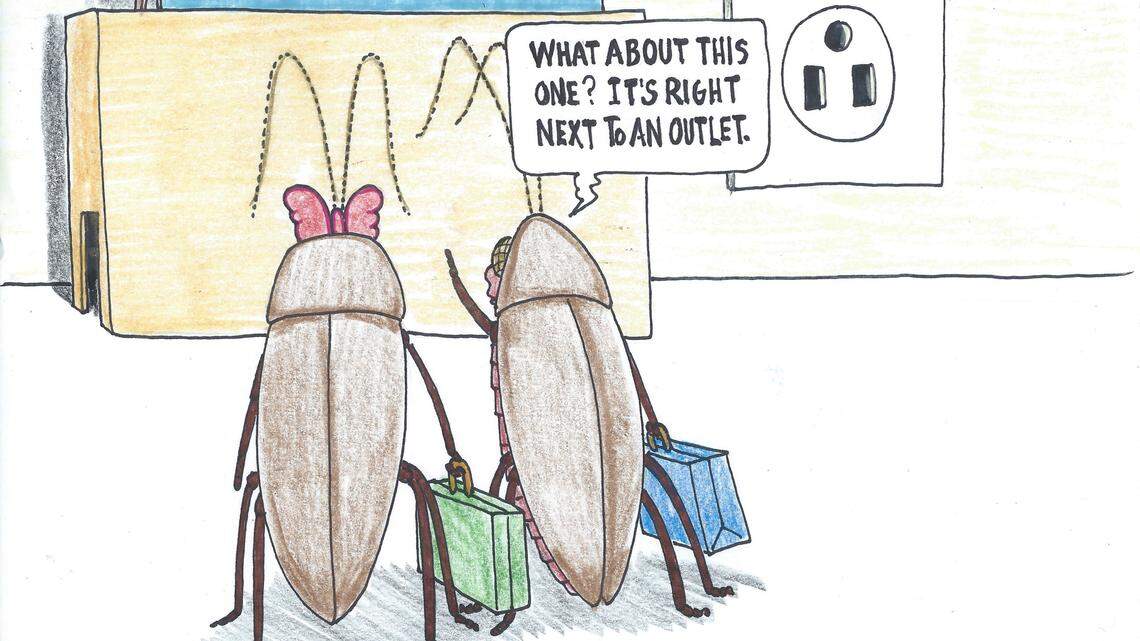 Tim Lockley: Asian cockroaches are drawn to light 