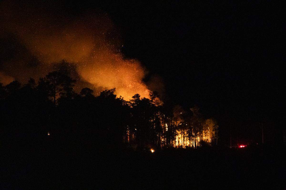Flames from a fire burning near the Gulf Park Estates area are visible above the treeline on Saturday, April 9, 2022.