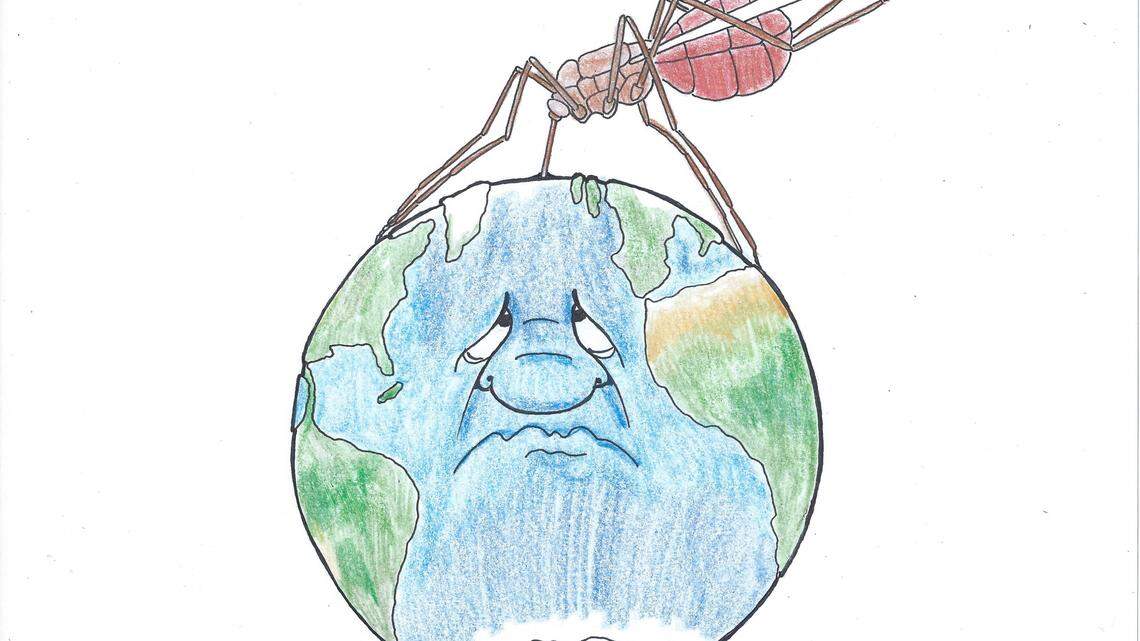 Tim Lockley: Water makes mosquitoes feel right at home 