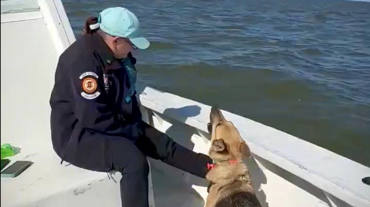 Handler Crystal Fields and K-9 Ensey of Team Texas K9s helped the United Cajun Navy
