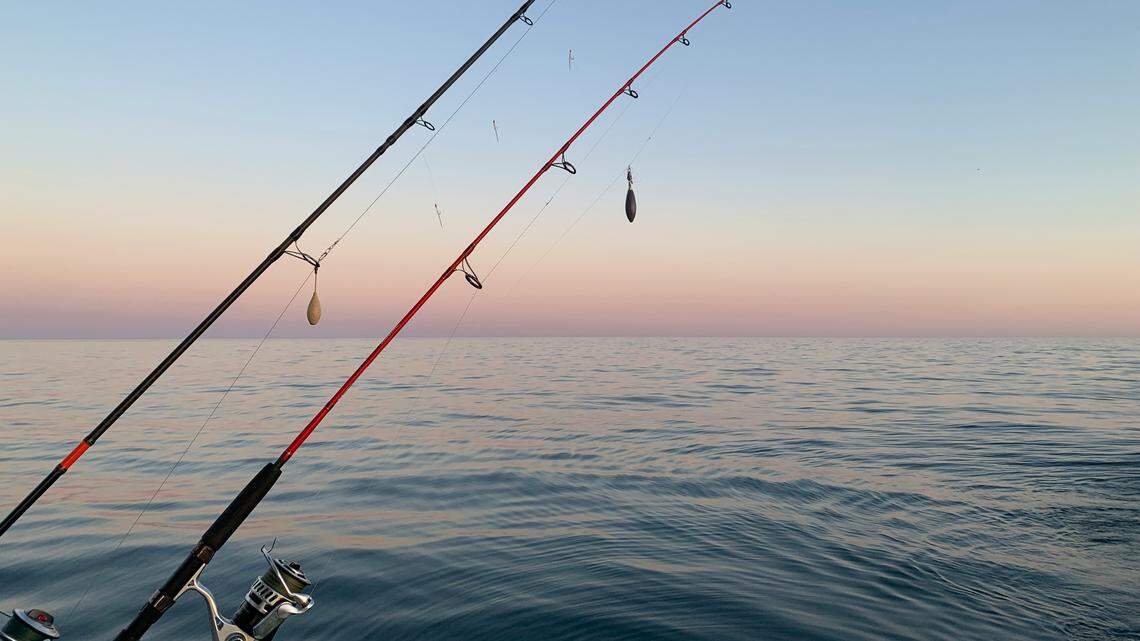 Here are the 5 best fishing towns in MS, new ranking shows. See which town got the No. 1 spot