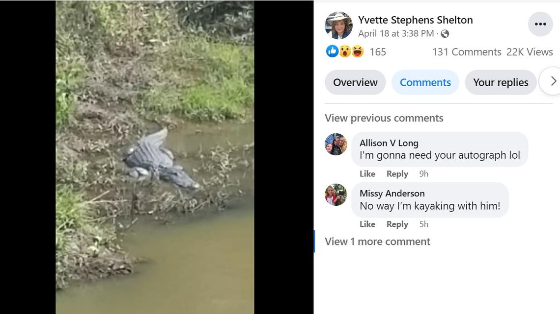 An infamous alligator known as “Flat Creek Floyd” was spotted in Peachtree City, Georgia near Atlanta. Here’s what wildlife experts say about the rare sighting.