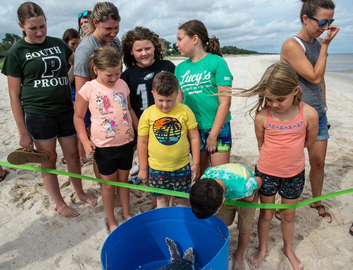 Bryson Rose, 5, center looks down upon a Kemp’s ridley sea turtle before its release back into the ocean at Pass Christian Beach.