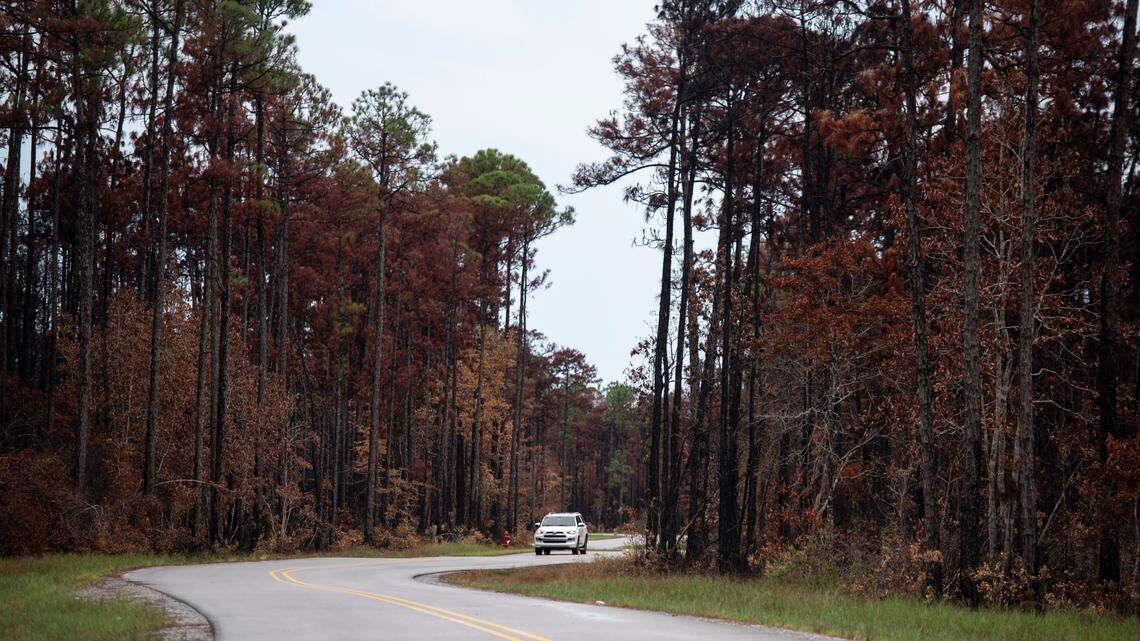 It’s been a bad year for wildfires in South Mississippi. It could get worse, experts say