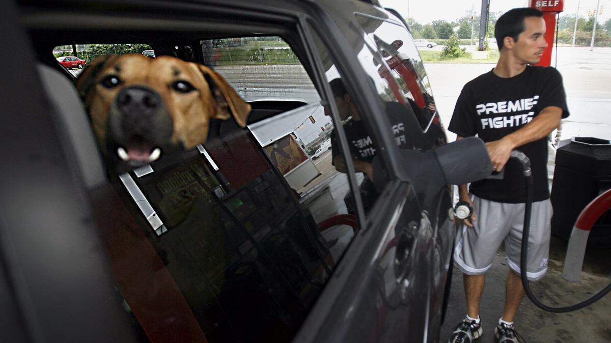 Derrick Ware pumps gas while his dog Annie catches the action from the backseat window Tuesday in Hattiesburg. Mississippi's average price per gallon Tuesday was $1.99 compared to $1.92 a week ago and $2.71 a year ago.