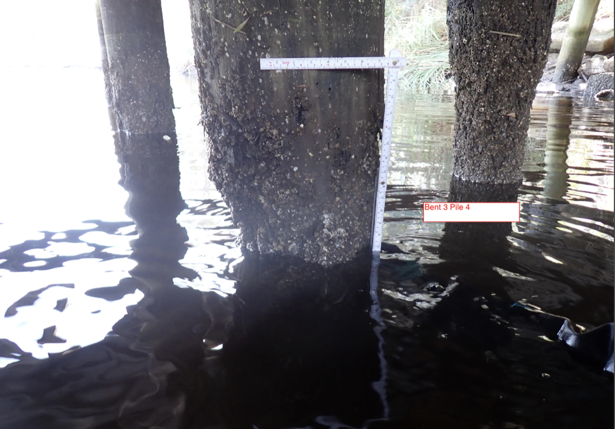 The pilings that support the Hanshaw Road Bridge over Davis Bayou in Ocean Springs have been undermined by water termites, or marine borers, a Feb. 12 state inspection found. Jackson County has agreed to replace the bridge’s wood pilings.