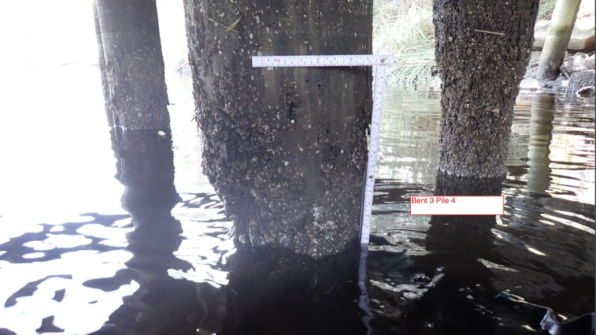 The pilings that support the Hanshaw Road Bridge over Davis Bayou in Ocean Springs have been undermined by water termites, or marine borers, a Feb. 12 state inspection found. The bridge is closed indefinitely while the city searches for money to replace it.