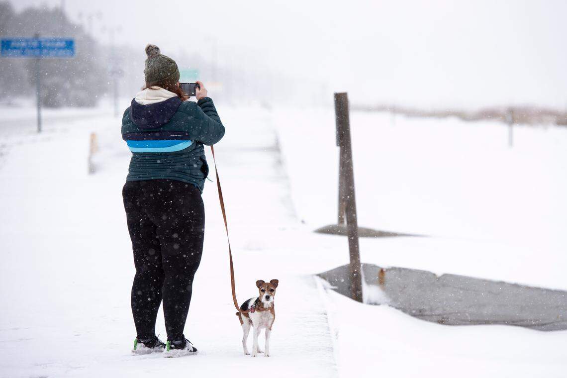 A woman walks her dogs in the snow at Gulfport East Beach on Tuesday, Jan. 21, 2025.