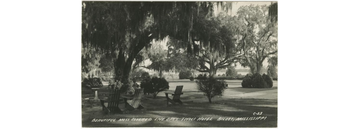 The Tivoli Hotel was surrounded by several massive live oaks covered in Spanish Moss, providing patrons with shade from the Mississippi Coast sun.