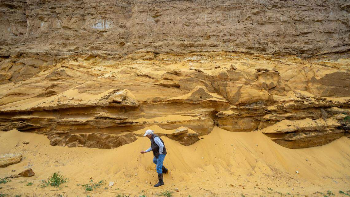 Professional hydrologist Paul Wotzka stands near a road cut out that shows the geology near his home April 11 in Altura, Minnesota. The region, like many in Wisconsin, is perched upon karst geology, which consists of porous, cracked rock through which water easily travels. That means when fertilizer or manure is applied in large quantities, it can more easily make its way into the groundwater and impact the wells that draw from it.