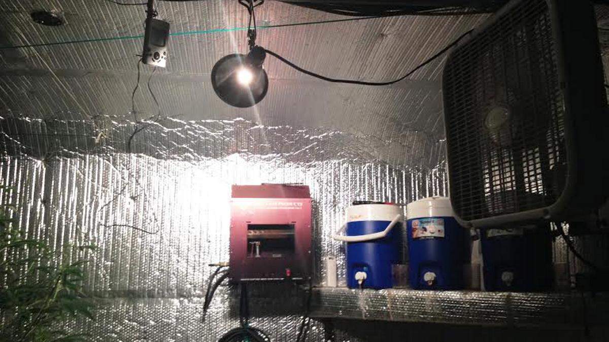 PHOTO COURTESY OF THE HARRISON COUNTY SHERIFF'S OFFICE An elaborate marijuana grow room was found at a home on Hayes Road in Harrison county as part of an investigation into a golf cart theft in Pass Christian. Two firefighters are accused in the theft.