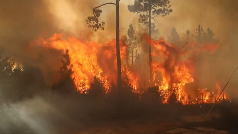 Watch firefighters battle a large blaze that threatened South Mississippi homes