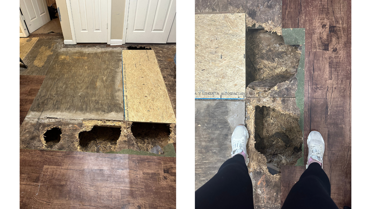 Maintenance workers showed up in the fall and patched holes in the floor of Sarah Hampton’s rental house, but more holes have opened up. Sentry Asset Management, the company that manages the subdivision, said Hampton would need to get rid of her dog, pay back rent and move to another house in the subdivision while repairs were made. Hampton instead decided to move after dealing with repair issues, including the floors, for more than two years.