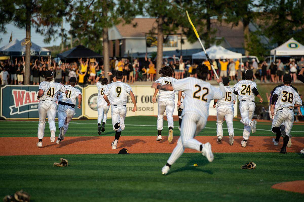 Southern Miss runs towards the roost after defeating LSU 8-7 in the NCAA Regionals at Pete Taylor Park in Hattiesburg on Monday, June 6, 2022.