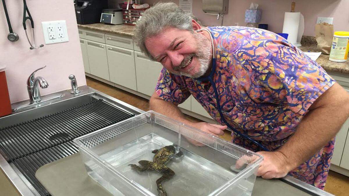 PHOTO COURTESY DR. JAMES ASKEW 
 Dr. James Askew with his good friend Jeremiah, a bullfrog
