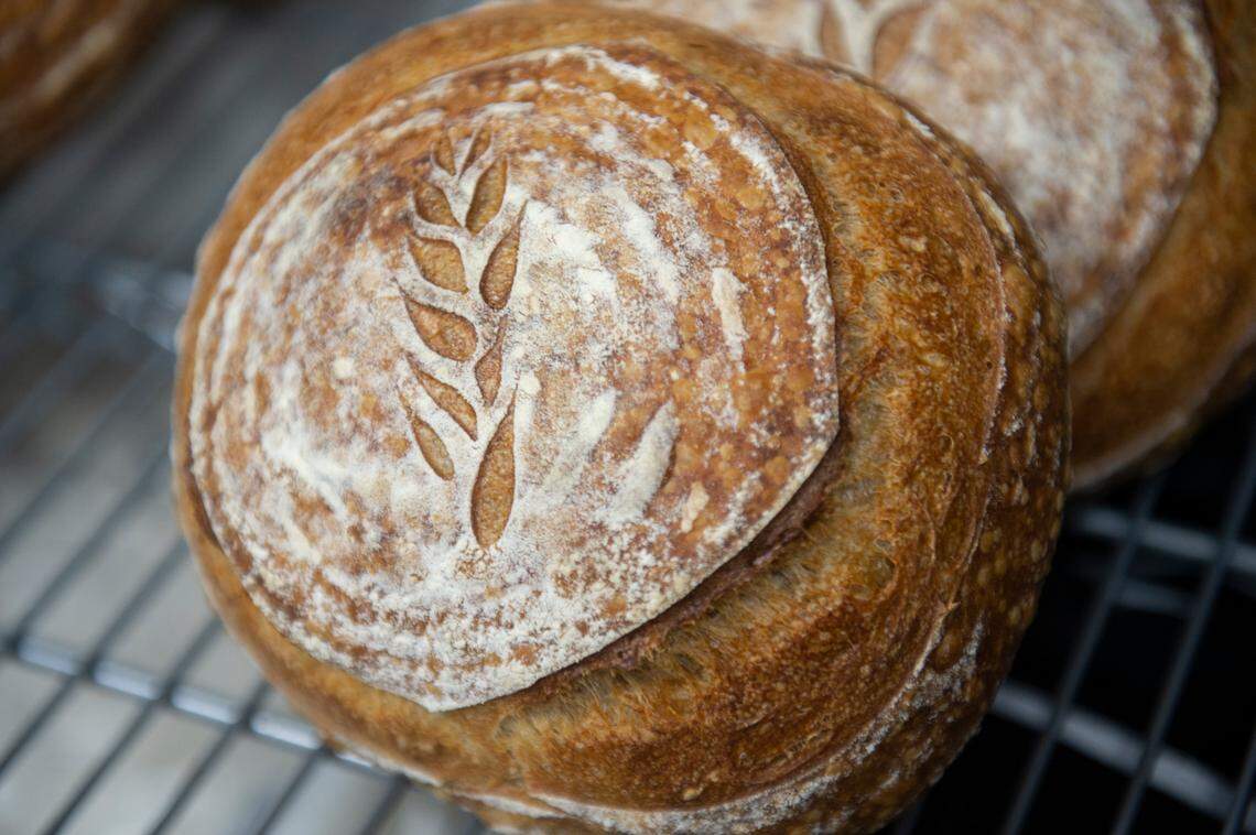A sourdough loaf at Brew Paddle, a new bakery cafe at The Bella, a boutique hotel in Biloxi, on Wednesday, Sept. 13, 2023. The Brew Paddle will offer fresh bread, coffee, breakfast and lunch.