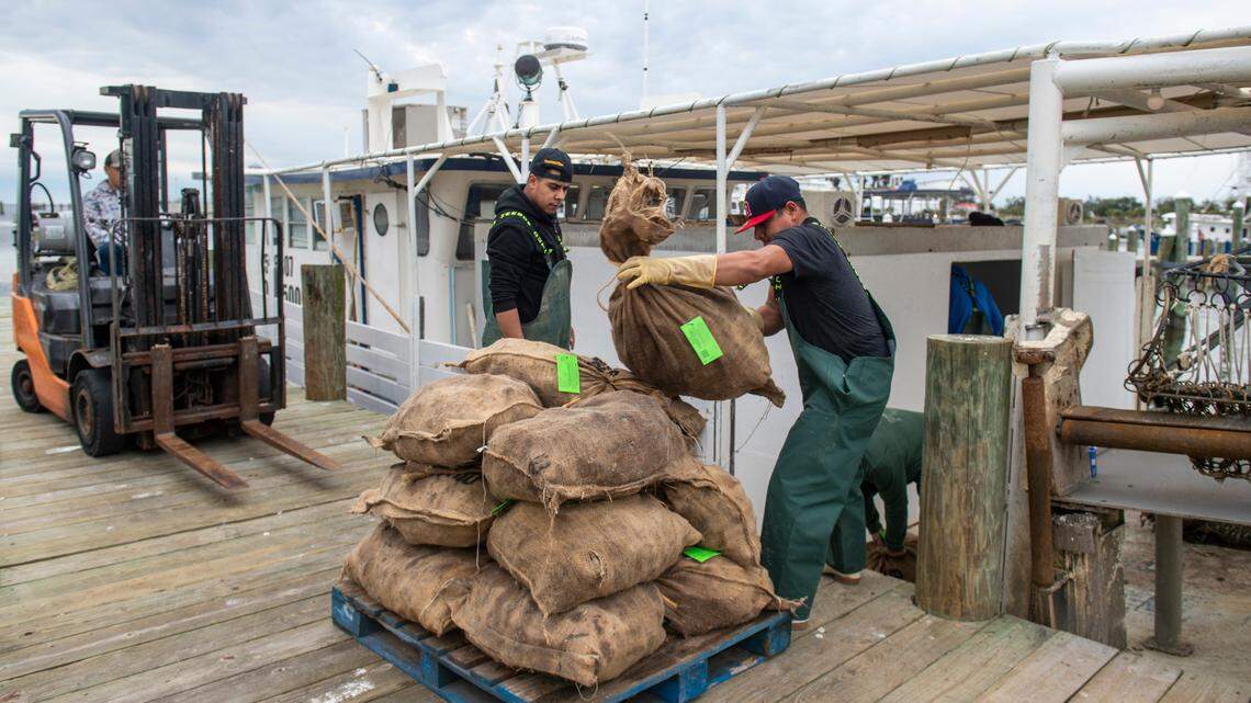 Judge: MS oyster lease law potentially creates monopoly, violates Constitution