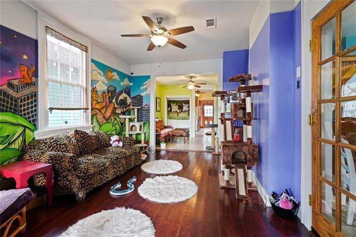 Visitors of the Crescent City Cat Club were welcome to chill out with as many as 40 cats at a time, according to the shelter’s website.