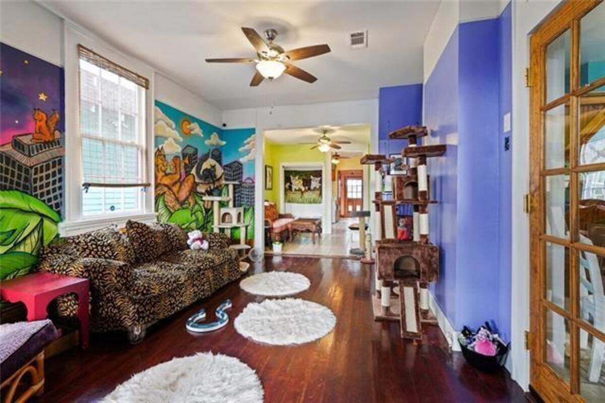 Visitors of the Crescent City Cat Club were welcome to chill out with as many as 40 cats at a time, according to the shelter’s website.