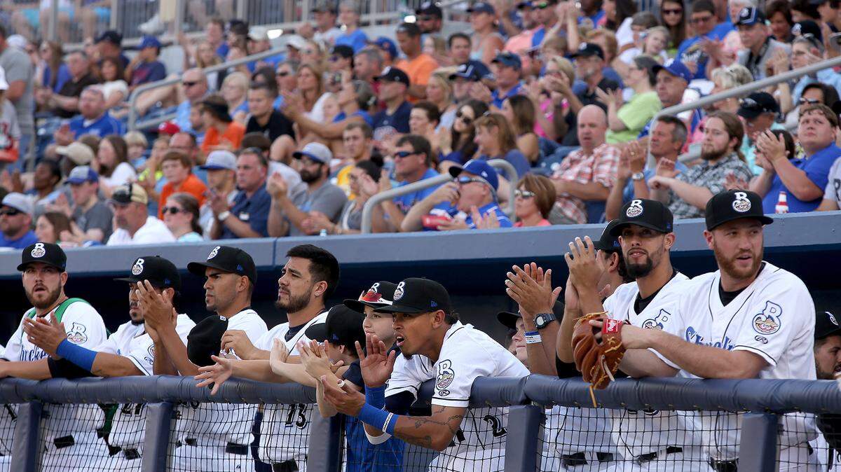 AMANDA McCOY/SUN HERALD 
 The Biloxi Shuckers cheer from the dugout on Saturday, June 6, 2015 during the opening game at Biloxi's MGM Park. The stadium was selected by Southern Living magazine as No. 21 on the Top 50 attractions in the South.