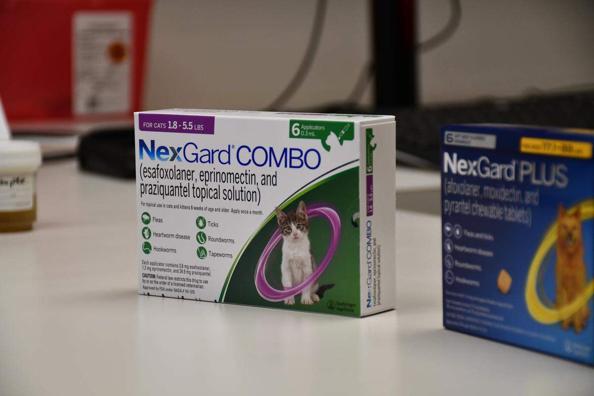 Boxes of heartworm prevention medication on a veterinary exam table.