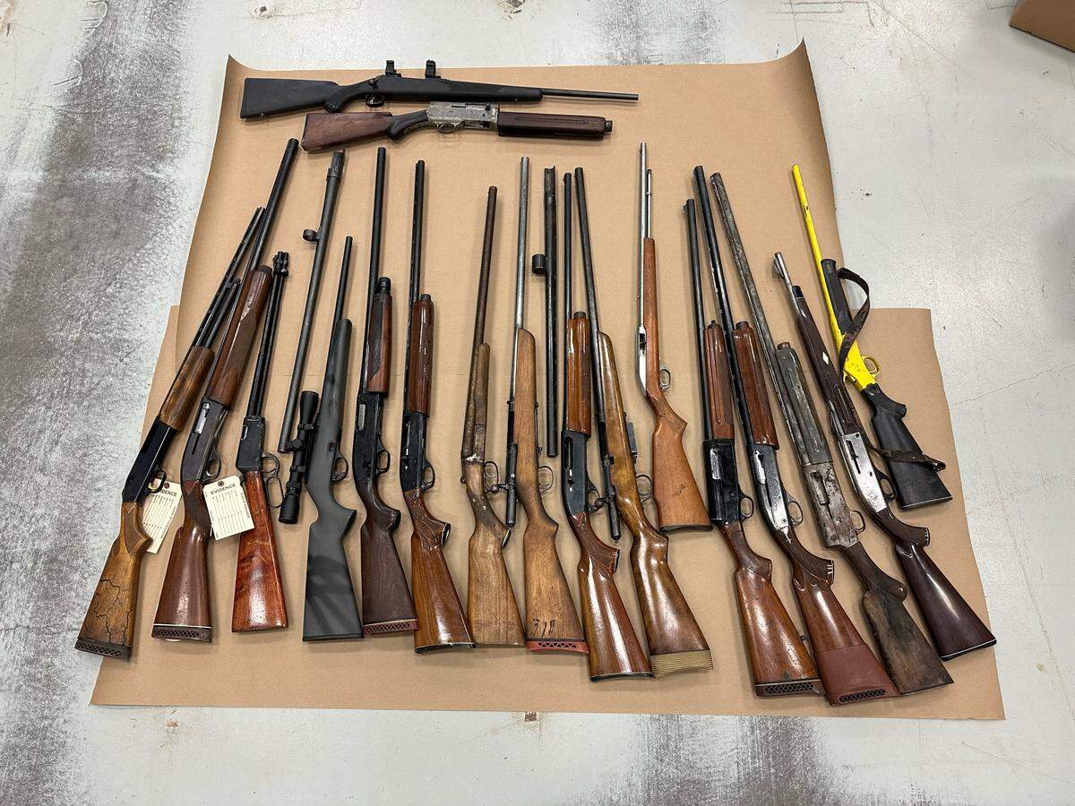 Pictured are some of the more than two dozen guns recovered in Vancleave. Two Vancleave men are charged, two are sought and more arrests are expected.