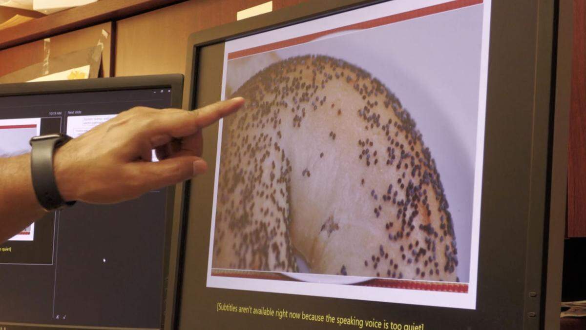 Dr. Shahid Karim points to poppy seeds on a bagel, which are the same size as a young lone star tick.