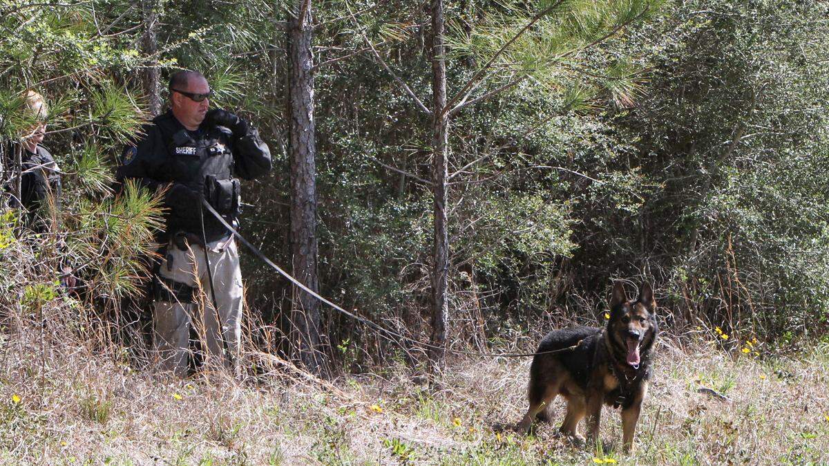 JOHN FITZHUGH/SUN HERALDA Harrison County Sheriff's K-9 unit searches along Landon Road on Monday March 21, 2016 for a suspect in a home invasion that occurred earlier in the day.