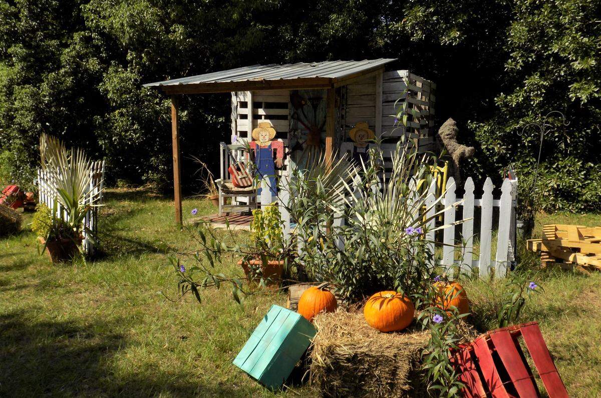 Fall-De-Rah is a tradition in Moss Point, with pumpkins and fall characters throughout the business district.