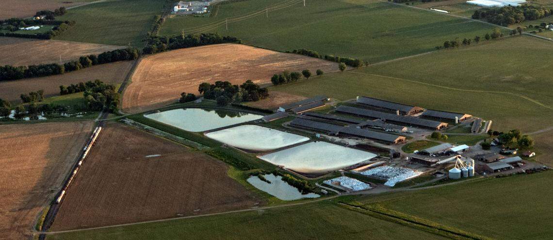 A concentrated animal feeding operation, or CAFO, is seen northeast of Massey, Maryland, in May 2024.