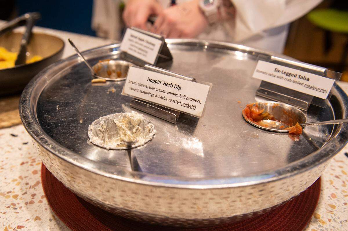 Guests can eat edible bugs at the Audubon Insectarium in New Orleans on Tuesday, June 6, 2023.