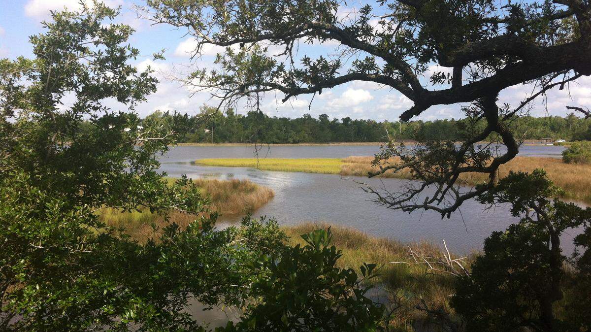 TAMMY SMITH/SUN HERALD 
 An observation deck behind the William M. Colmer Visitor Center at Davis Bayou in Ocean Springs provides a peaceful view of the bayou. Ocean Springs is in the running for Budget Travel's Coolest Small Town in America.
