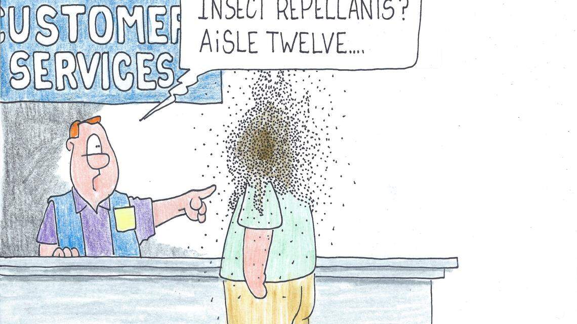 Tim Lockley: Spring, fall are gnats' favorite seasons here 